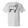 Essential-T T-Shirt Thumbnail