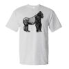 Essential-T T-Shirt Thumbnail
