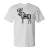 Essential-T T-Shirt Thumbnail