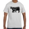 Unisex Authentic T-Shirt Thumbnail