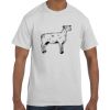 Authentic T-Shirt Thumbnail