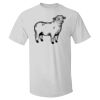 Authentic Pocket T-Shirt Thumbnail